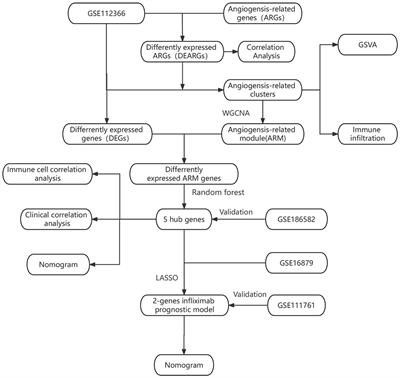 Constructing models for Crohn's disease diagnosis and prediction of infliximab non-response based on angiogenesis-related genes